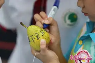  烟台惊现史上最奇葩减压方式几十名小学生扔鸭梨组图