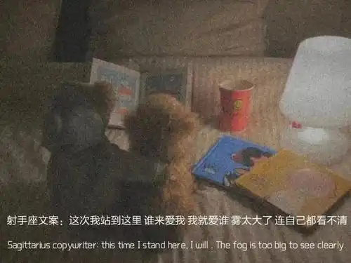 十二星座的专属文案