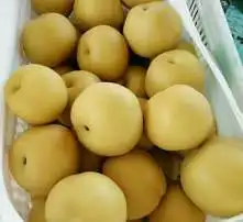  黄页88高清图片