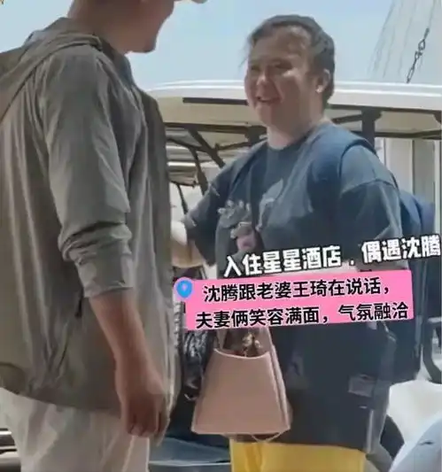  沈腾携儿子老婆旅游被偶遇41岁王琦断崖式衰老苍老感明显不敢认