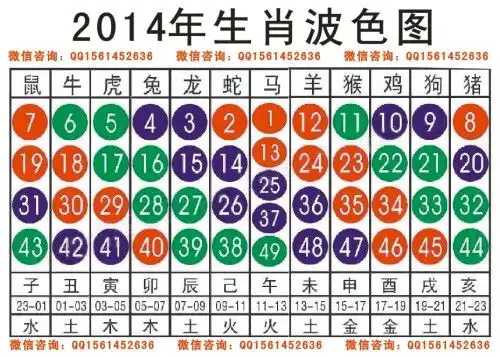 白小姐2023年生肖码表