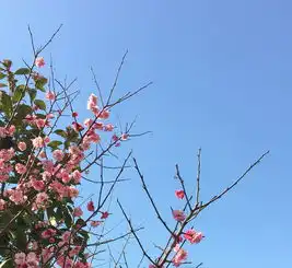  请善待你生命中的每一个小善