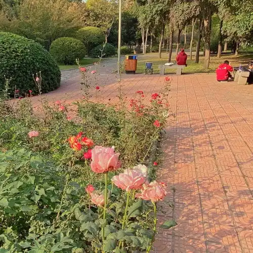  秋天清新迷人自然风光