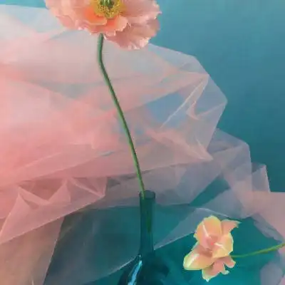  花朵头像适合中年人做微信头像的图片