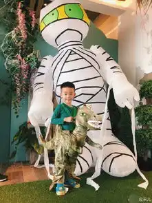  用视频说话