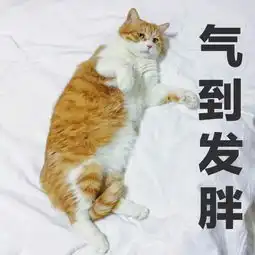  胖是工伤,每天干着容易发胖的工作真悲伤
