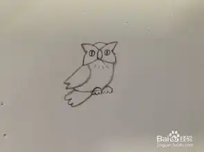  如何画简笔画猫头鹰