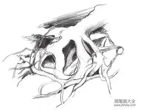  速写树根的绘画教程