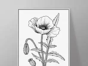  虞美人罂粟花素描黑白手绘简笔画欧式装饰画图片设计素材高清模板下载11.58mb其他大全