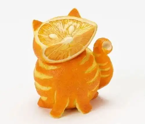 不开心冲我来