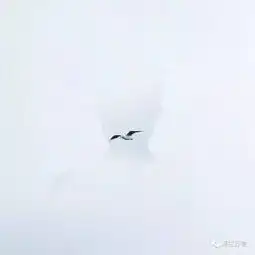  你是年少的欢喜,喜欢的少年是你