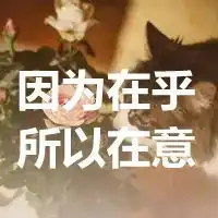  因为在乎所以在意图片加文字