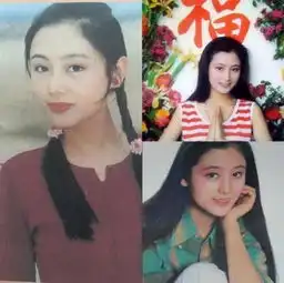  她是内地第一美人,纯靠美貌红遍港台,却被黑肥版整容前杨幂