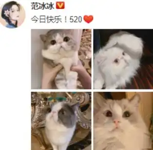  有情况范冰冰520晒照配文加爱心被网友讨自拍