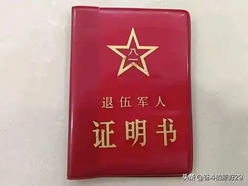  退伍军人成了过街老鼠,退伍军人被打上退闹的标签,谁是幕后黑手