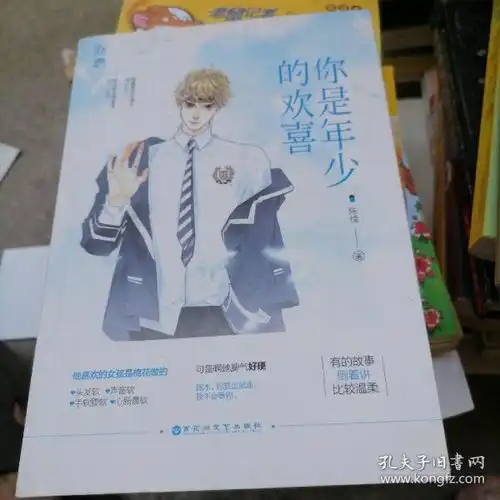  你是年少的欢喜