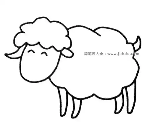  六张可爱的绵羊简笔画图片