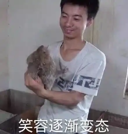  当对方认出你这套超神卡组,5s内立刻投降