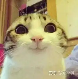  半夜被致郁了我觉得可以和大家提一下这个大陆上映一周就撤档,票房扑街到不够宣发的港片