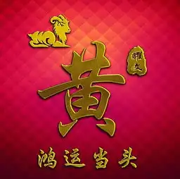  漂亮的12生肖姓氏头像,专业的金款设计,奢华尊贵款,望你喜欢
