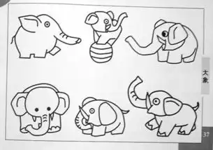 动物头像简笔画孔雀动物
