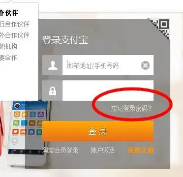  之前的支付宝账号是手机号码,后来又把支付宝绑定了邮箱,现在登陆支付宝的时候就显示账户名或者密码错误