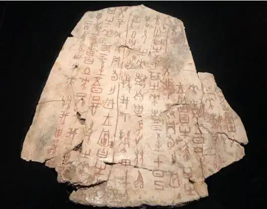  一片甲骨惊天下120多年后冷门绝学让黄河文明活起来