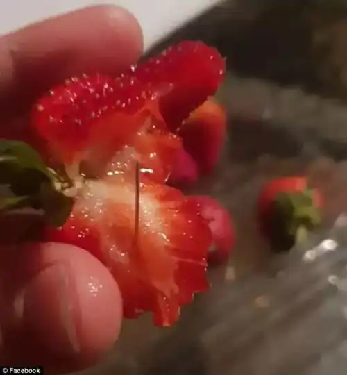  南澳也遭殃又一家连锁超市下架草莓草莓藏针事件破坏性持续加大