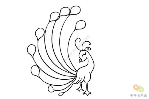  孔雀简笔画图片孔雀简笔画