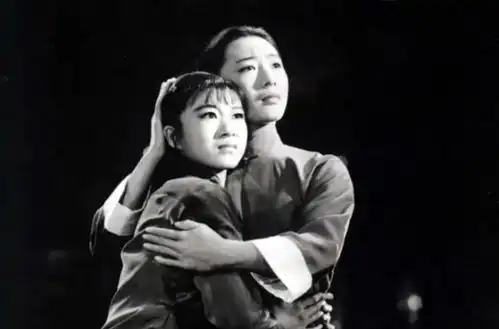  舞蹈家茅惠芳当红时嫁人出国,后被人泼脏水打官司,现状如何