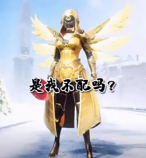 和平精英王小歪穿着炽羽金尊匹配路人,这反应也太真实了
