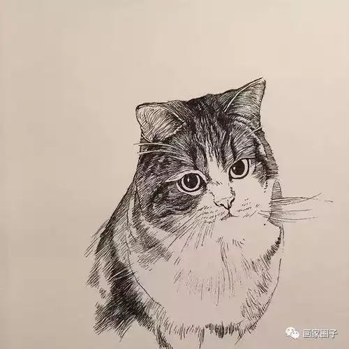 头像简约线条简笔头像图