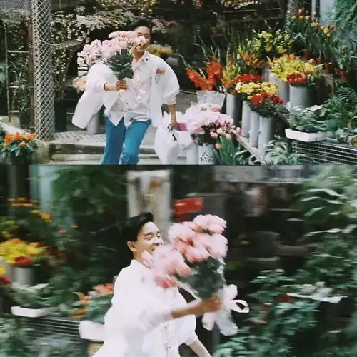 张国荣送花高清头像