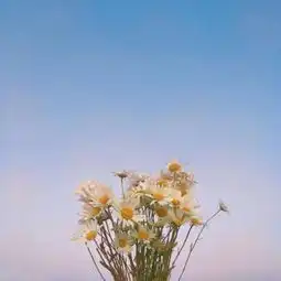 头像风景高清清新自然大
