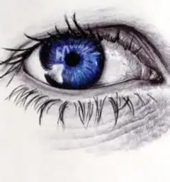  手绘素描眼睛堆糖,美好生活研究所