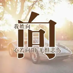  你该换个头像了,28张用你的姓氏设计的头像,喜欢请带走
