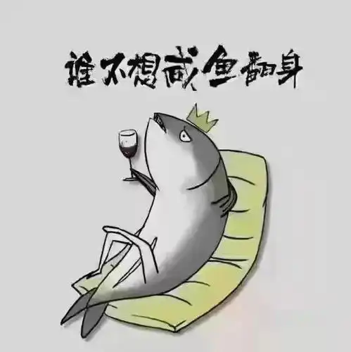  咸鱼翻身必须加油