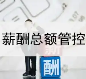  薪酬总额