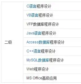  计算计算机二级学什么的