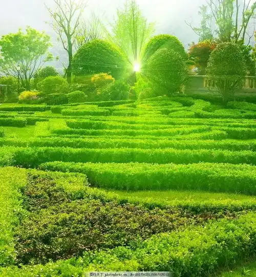  分享图片充满阳光的风景图