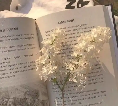  有哪些无风格文案