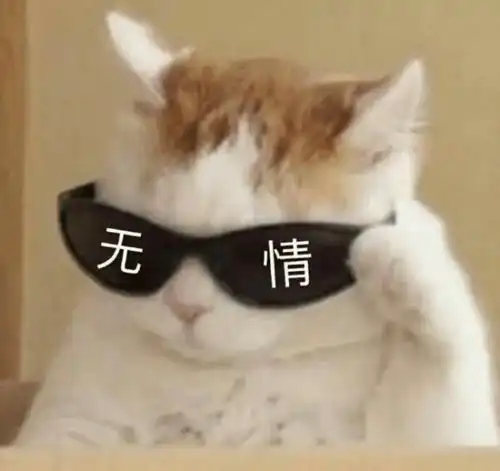  当代大学生大型双标现场,真的太狗了