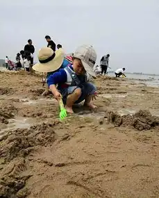  康店邙岭的果子熟透了,邀你来品尝