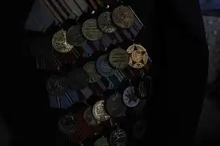  红场上那些亮瞎眼的勋章