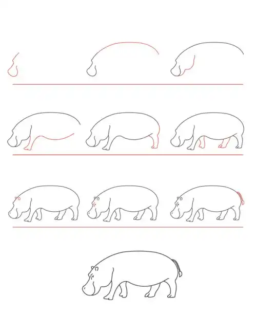  每天学一幅简笔画超实用动物简笔画大全步骤图50张动物详细步骤画法教程图片