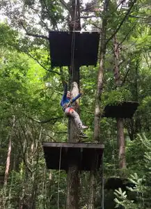  秦岭国际青少年儿童营地引领教育回归自然
