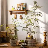  乐美君仿真花卉乐美君龙凤呈祥发财果年宵花仿真花摆设多少钱