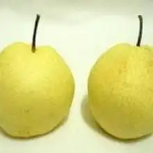  黄页88网