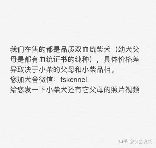  为啥选择养柴犬的,比养哈士奇的家长多呢