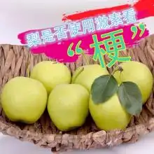  首页赵洲梨果经销公司主营雪花梨鸭梨黄冠梨
